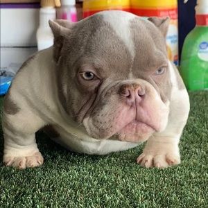 Meet your Posher, Markiel